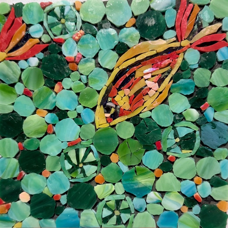 Vellora - The Seeker of Light and Freedom